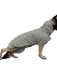 German Shepherd Raincoat Silver Sage