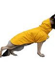 German Shepherd Voyager Raincoat