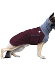 German Shepherd Winter Coat