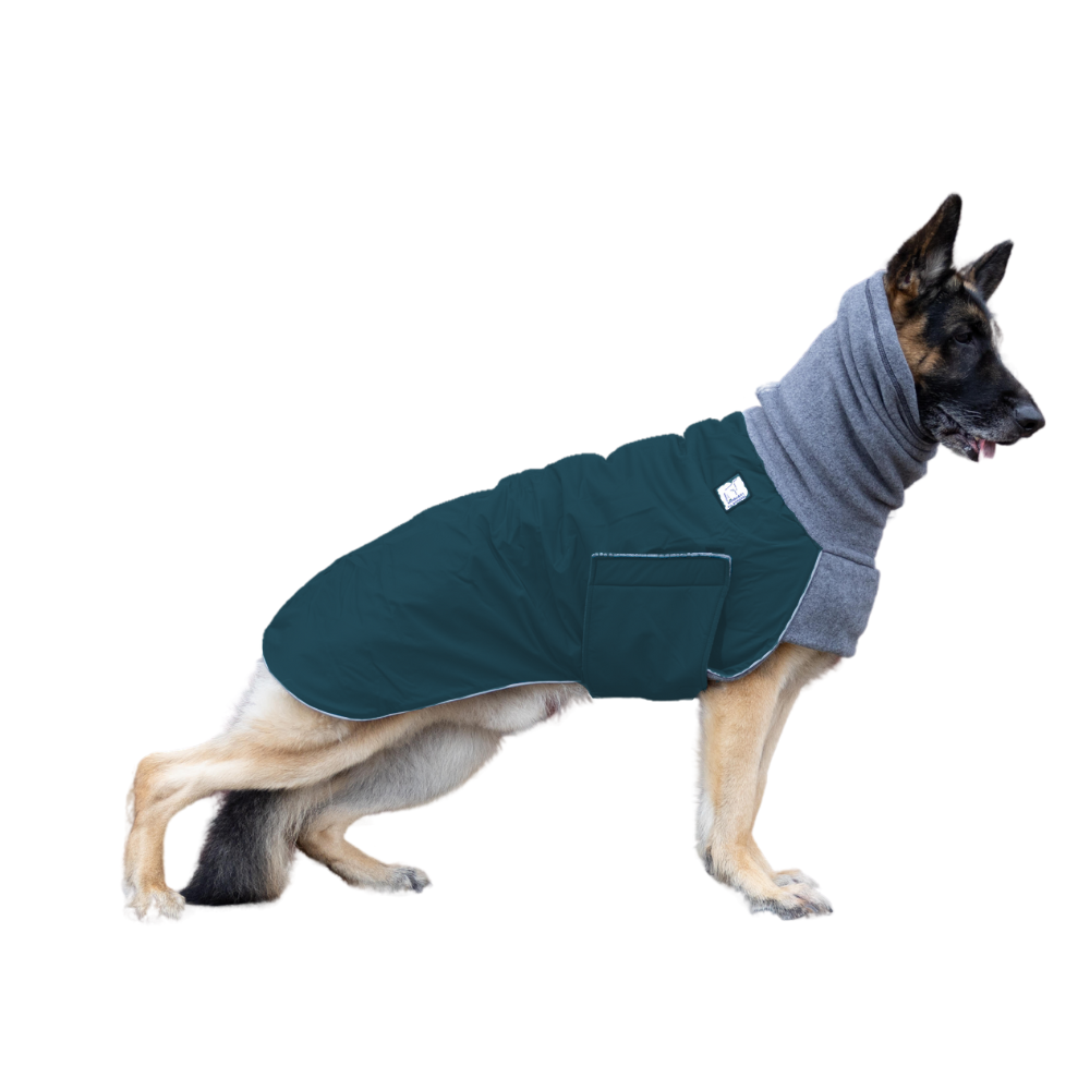 German shepherd deals winter coat