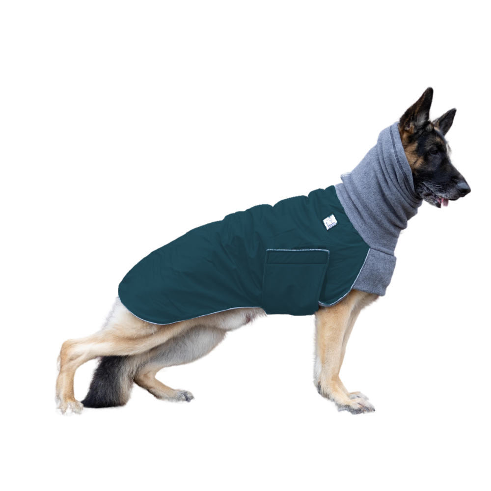 German shepherd dog clothes clearance