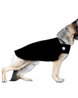 German Shepherd Tummy Warmer