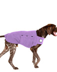 German Shorthaired Pointer Tummy Warmer
