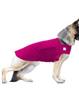 German Shepherd Tummy Warmer