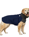 Golden Retriever Winter Coat