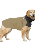 Golden Retriever Winter Coat