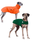 Great Dane Camper Bundle
