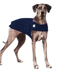 Great Dane Tummy Warmer