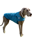 Great Dane Cooling Coat