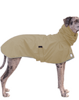 Great Dane Raincoat