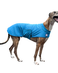 Greyhound Cooling Coat