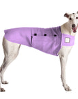 Greyhound Tummy Warmer