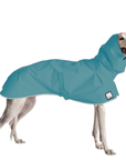 Greyhound Raincoat