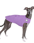 Italian Greyhound Tummy Warmer