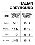 Italian Greyhound Winter Coat