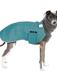 Italian Greyhound Winter Coat