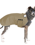 Italian Greyhound Winter Coat