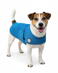 Jack Russell Cooling Coat