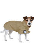 Jack Russell Terrier Raincoat