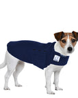Jack Russell Terrier Tummy Warmer