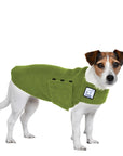 Jack Russell Terrier Tummy Warmer