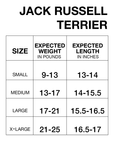 Jack Russell Terrier Tummy Warmer