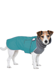 Jack Russell Terrier Winter Coat