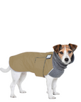 Jack Russell Terrier Winter Coat