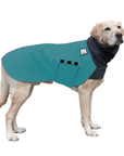 Labrador Retriever Winter Coat