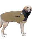 Labrador Retriever Winter Coat
