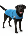 Labrador Retriever Cooling Coat