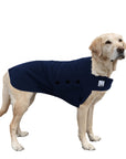 Labrador Retriever Tummy Warmer