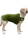 Labrador Retriever Tummy Warmer