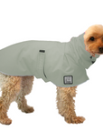 Miniature Poodle Raincoat