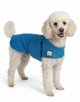 Miniature Poodle Cooling Coat