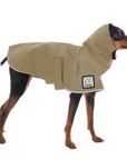 Miniature Pinscher Raincoat