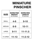 Miniature Pinscher Winter Coat