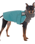 Miniature Pinscher Winter Coat