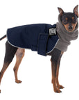 Miniature Pinscher Winter Coat