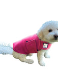 Miniature Poodle Tummy Warmer
