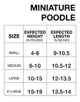 Miniature Poodle Winter Coat