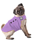 Pug Tummy Warmer