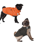 Pug Camper Bundle