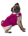 Pug Tummy Warmer