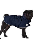 Pug Raincoat