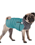 Pug Winter Coat