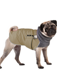 Pug Winter Coat