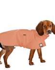 Beagle Raincoat