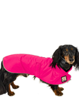 Dachshund Raincoat