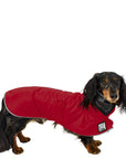 Dachshund Raincoat